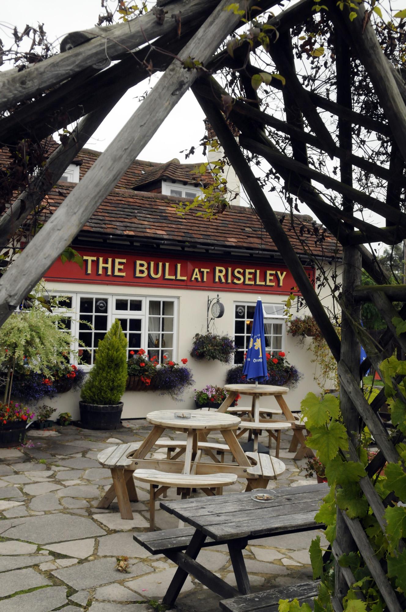 bull_at_riseley_reading-001.jpeg